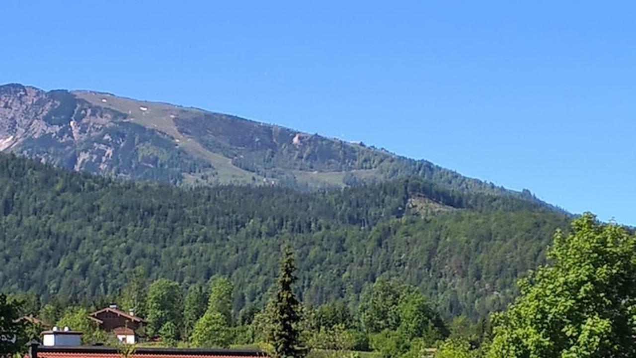 Zum Alten Forsthaus Gasthuis